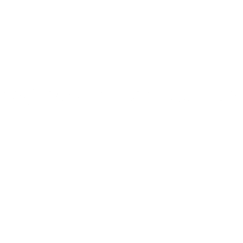 Vane’s pulseras